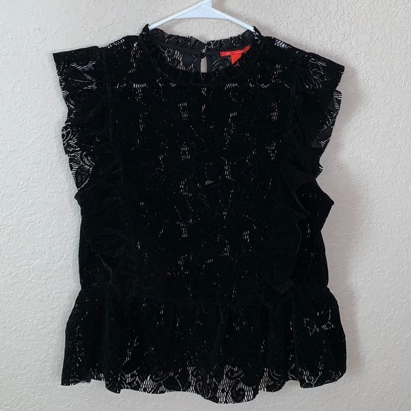 Chelsea & Violet Tops - Chelsea & Violet Velvet Ruffle Lace Blouse